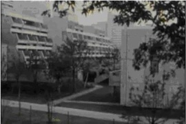 Nhóm khủng bố đột kích Làng vận động viên