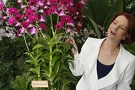 Loài hoa lan mới của Singapore mang tên Thủ tướng Australia