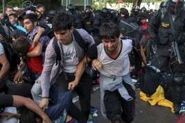 Hungary huy động lực lượng cảnh sát "khủng" tới biên giới Serbia