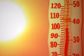 Nhiệt độ nóng "không tưởng", hơn 500 người Nhật Bản phải nhập viện