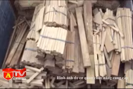 Phát hiện xe ô tô chở gỗ với số lượng lớn