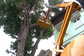 Dùng máy móc chuyên dụng để đảm bảo Thủ đô Hà Nội luôn xanh, sạch, đẹp