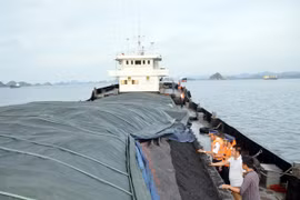 Cảnh sát biển bắt giữ tàu vận chuyển 2.000 tấn than không rõ nguồn gốc