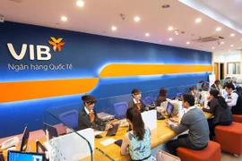 VIB dự kiến chia cổ tức 25%