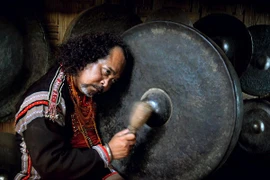 Nhiếp ảnh Việt Nam ra về "tay trắng"