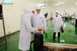 Góp phần to lớn cho nền kinh tế quốc gia