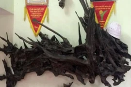 Những thú chơi "đốt tiền" ngày Tết của đại gia Việt