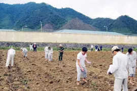 Gặp những người ăn Tết trong trại cai nghiện ma túy