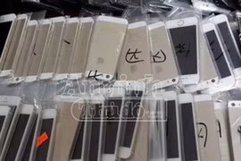 Bắt giữ lô hàng iPhone 5S, Note III nhập lậu trị giá 800 triệu đồng