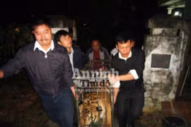 Bàn giao hai cá thể hổ cho Trung tâm động vật hoang dã Sóc Sơn chăm sóc