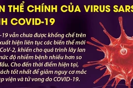 Tổ chức Y tế thế giới (WHO): Biến thể Omicron có thể xuất hiện, tấn công vào những lỗ hổng miễn dịch khắp thế giới 