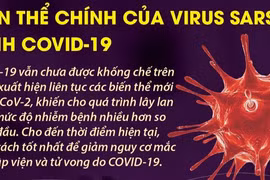 Tổ chức Y tế thế giới (WHO): Biến thể Omicron có thể xuất hiện, tấn công vào những lỗ hổng miễn dịch khắp thế giới 