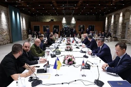 Tín hiệu tích cực từ đàm phán Nga - Ukraine