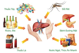 Thói quen hủy hoại gan mà nhiều người mắc 