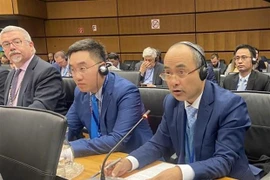 Việt Nam nhất quán ủng hộ an toàn và an ninh hạt nhân