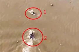 Chủ tịch nước khen ngợi những tấm gương dũng cảm cứu người 