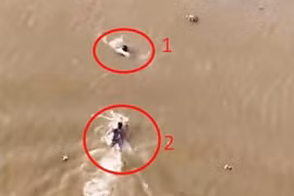 Chủ tịch nước khen ngợi những tấm gương dũng cảm cứu người 