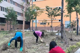 Tình yêu nghề là sức mạnh vượt lên mọi khó khăn 