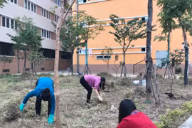 Tình yêu nghề là sức mạnh vượt lên mọi khó khăn 