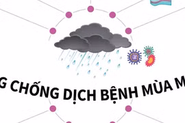 Phòng bệnh thường gặp trong mùa mưa bão 