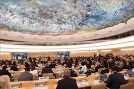 Xây dựng và hợp tác để bảo vệ và thúc đẩy quyền con người 