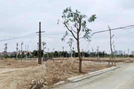 Dự thảo Luật Đất đai sửa đổi: Để giá đất bồi thường bám sát thị trường