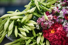 Khúc giao mùa trên phố 