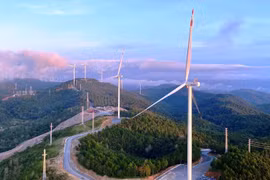 Việt Nam biến cam kết thành hành động chống biến đổi khí hậu 