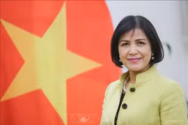 Tổ chức Lao động Quốc tế đánh giá cao Việt Nam trong hoàn thiện pháp luật lao động 