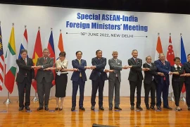 ASEAN - Ấn Độ hướng tới thiết lập quan hệ đối tác chiến lược toàn diện 
