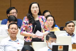 Xã hội hóa trong khám chữa bệnh, sử dụng hiệu quả ngân sách Nhà nước và Quỹ bảo hiểm y tế 