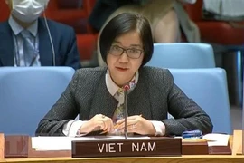 Việt Nam đề cao tầm quan trọng của tiến trình phi thực dân hóa tại Liên hợp quốc 