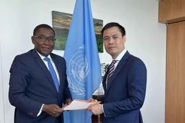 Chuyển đổi năng lượng - thúc đẩy tái cấu trúc nền kinh tế theo hướng bền vững: Liên hợp quốc sẵn sàng hỗ trợ Việt Nam trong thúc đẩy chuyển đổi năng lượng 