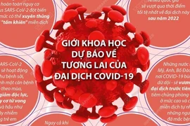 Bao giờ đại dịch Covid-19 kết thúc? 