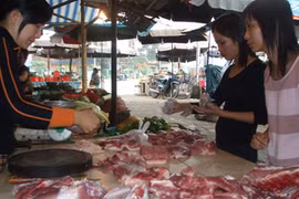 Thương lái thao túng thị trường thịt lợn