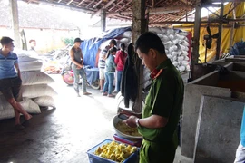 Quảng Ngãi: Phát hiện cơ sở chế biến thực phẩm cho trẻ em "siêu bẩn"