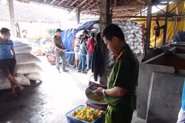 Quảng Ngãi: Phát hiện cơ sở chế biến thực phẩm cho trẻ em "siêu bẩn"