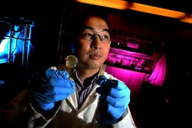 Tự chữa lành vết thương như Người Sói