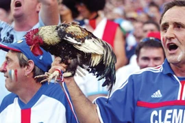 Ghi bàn nhờ... gà trống 