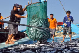Phản đối Trung Quốc ra Quy chế cấm đánh bắt cá ở biển Đông