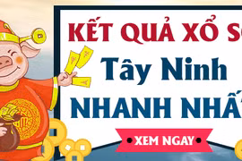 KQXSTN 10/8 - Kết quả xổ số Tây Ninh hôm nay ngày 10 tháng 8 năm 2023