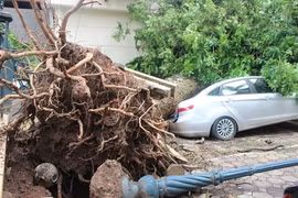 Bồi thương hơn 3,6 tỷ đồng cho khách hàng thiệt hại sau giông lốc tại Hà Nội
