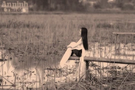 Thiếu nữ bên sen tàn