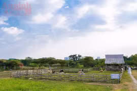 Có một thảo nguyên đẹp mê hồn giữa lòng Hà Nội