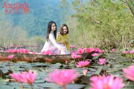 Suối Yến đẹp mê hồn trong nắng thu