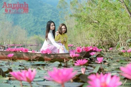 Suối Yến đẹp mê hồn trong nắng thu