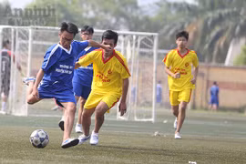 Những cú bứt phá ngoạn mục 