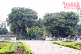 Cần xử lý triệt để việc xây điện thờ trái phép ở gò Kim Châu 