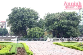 Cần xử lý triệt để việc xây điện thờ trái phép ở gò Kim Châu 