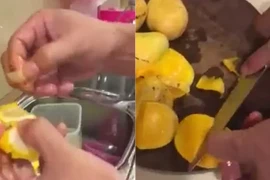 Bác tin đồn quả xoài Trung Quốc có hạt bằng nhựa